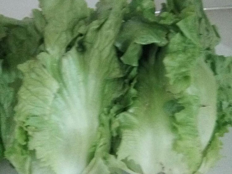 v66.com区域代理商加盟通道与招商引资管理平台