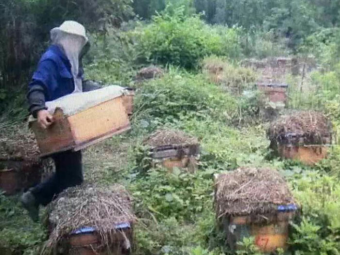 v66.com高效云仓储物流监控系统APP应用快速下载