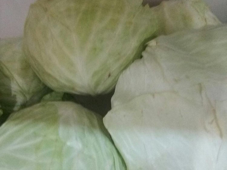 v66.com全站标准网络访问地址与节点安全配置