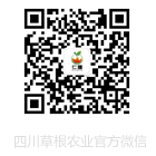 v66.com文体卫生产业设备集采综合服务平台