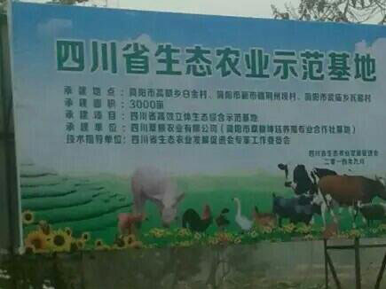 v66.com全站商务合作信息公开网站内容管理中心