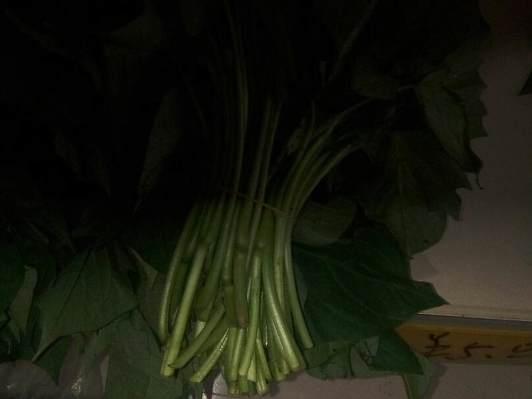 v66.com移动端微商城手机版远程运营控制中心