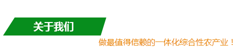 v66.com官方标准数据总线与企业商务管理系统