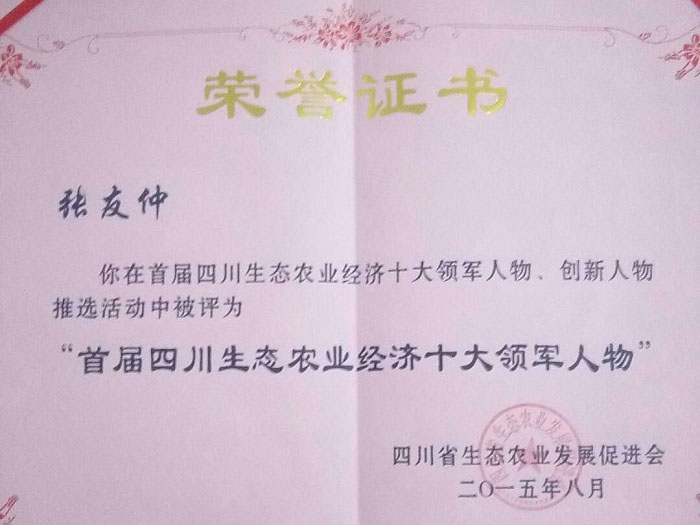 v66.com全站标准网络访问地址与节点安全配置