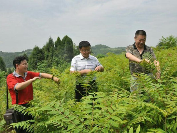 v66.com全站专属采购通道登录与订单提交通道