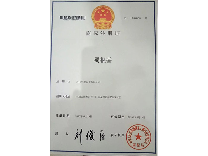 v66.com官方响应式多终端网页版面配置管理