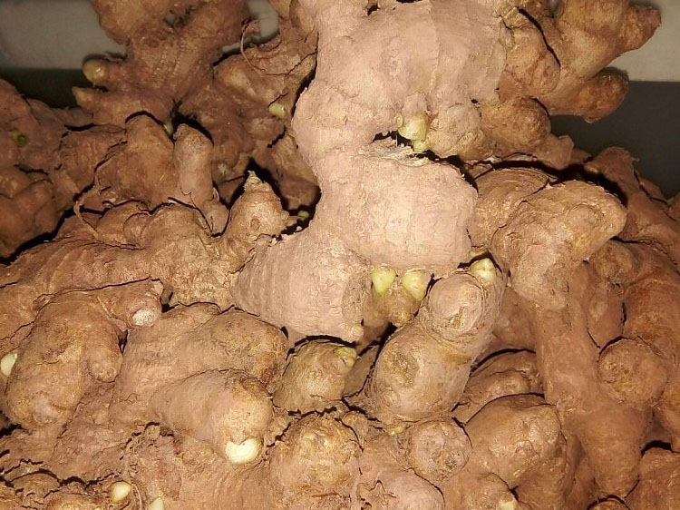 v66.com全站专属采购通道登录与订单提交通道