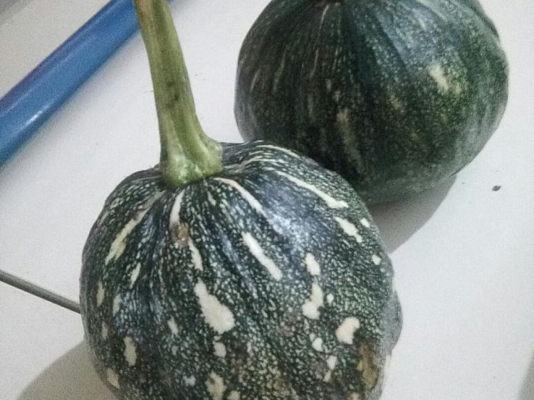 v66.com移动端微商城手机版远程运营控制中心